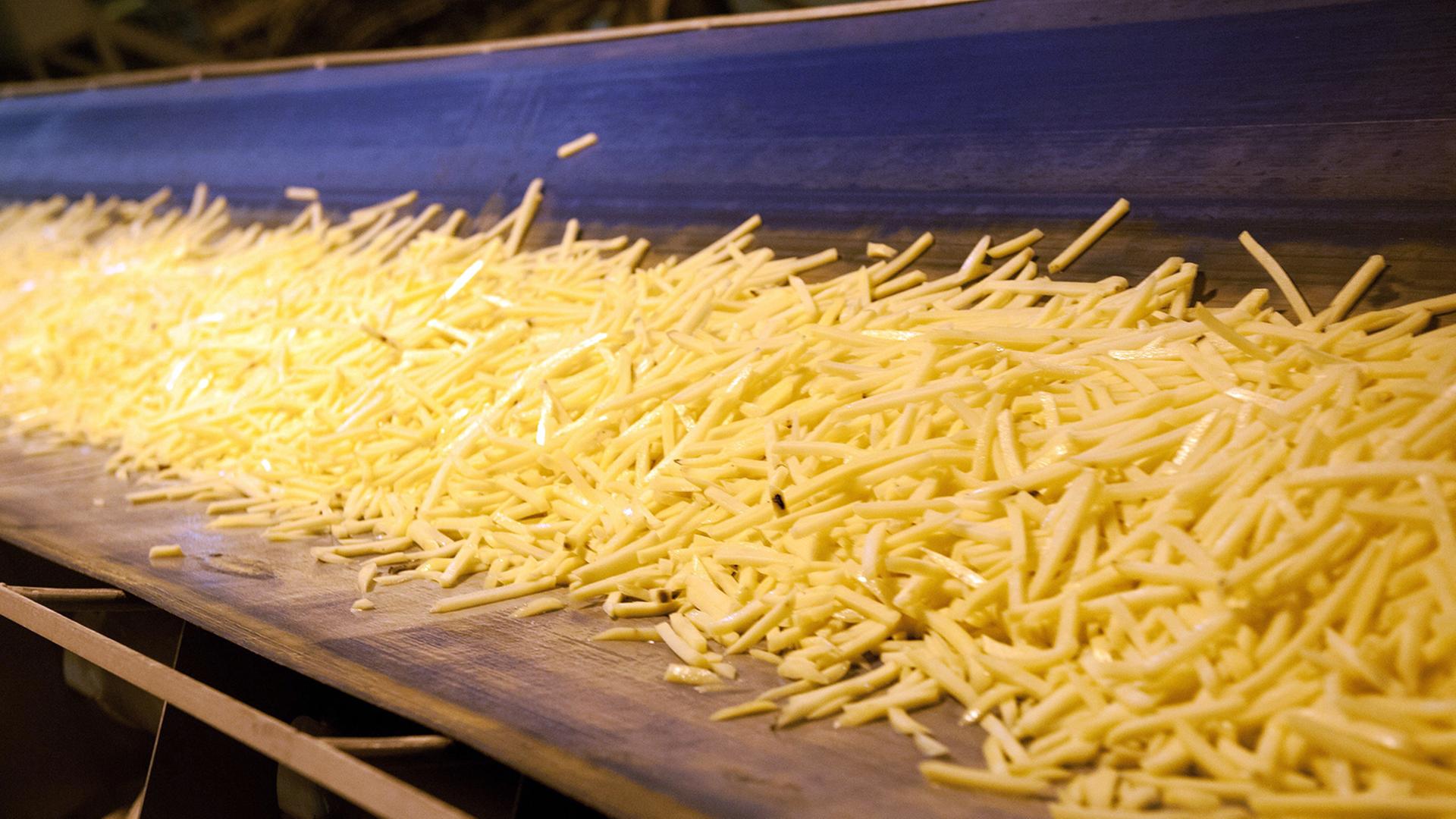 Pommes liegen auf einem Förderband in einer Fabrik. | picture alliance/dpa | Regmsg, Regmsg