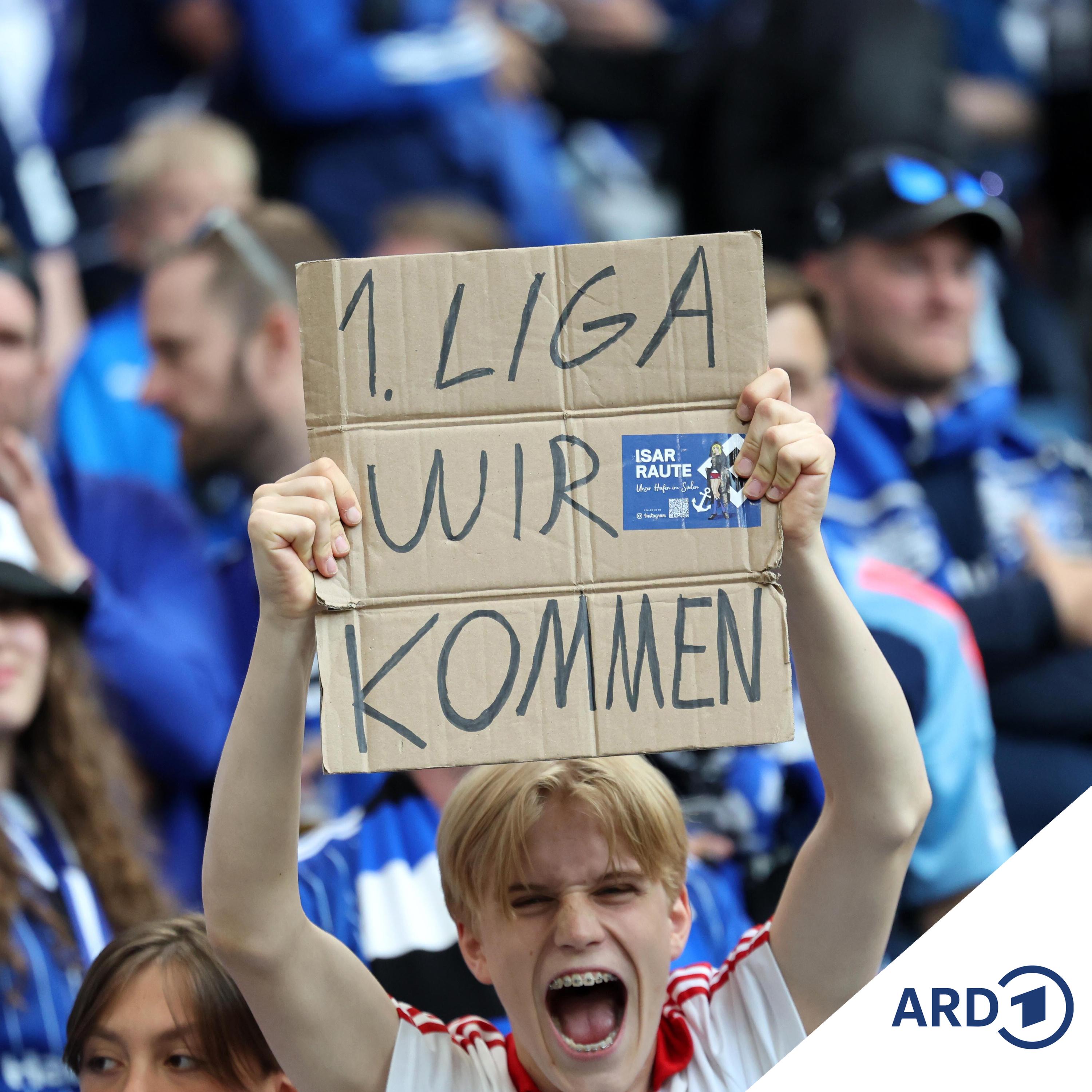 Aufstieg des HSV: 1. Liga auf dem Platz und auf dem Konto episode artwork