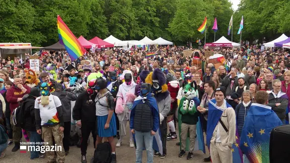 Eine teils bunt verkleidete Menschenmenge beim CSD in Flensburg