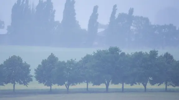 Ein Starkregengebiet zieht über Mecklenburg-Vorpommern (im Bild: Regen zieht über Felder und Bäumer in Brüsewitz) 