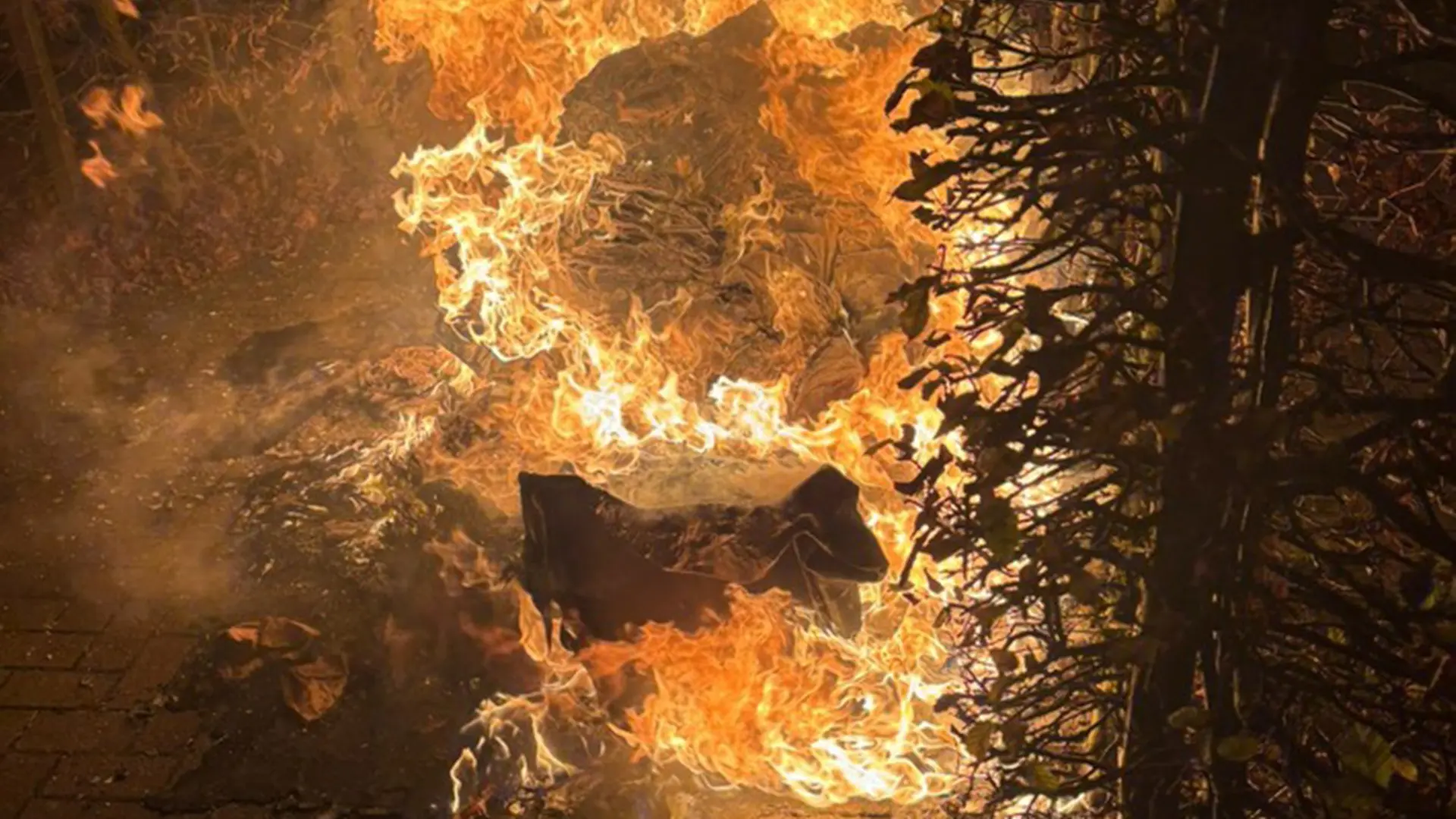 Neumünster: Feuerwehr löscht mehrere brennende Müllcontainer