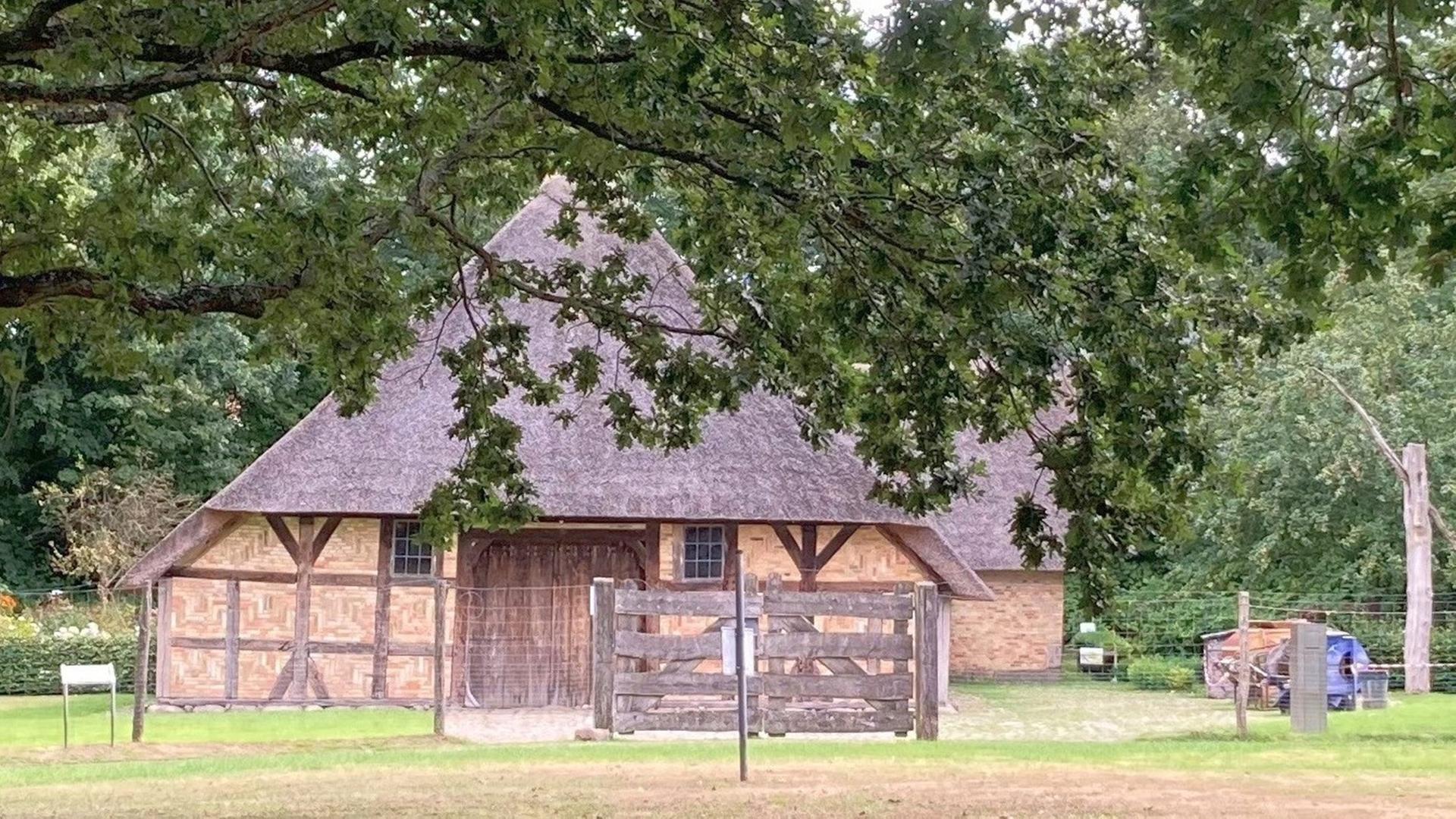Fleisch essen ohne Tierleid: Zellkultur auf dem Bauernhof