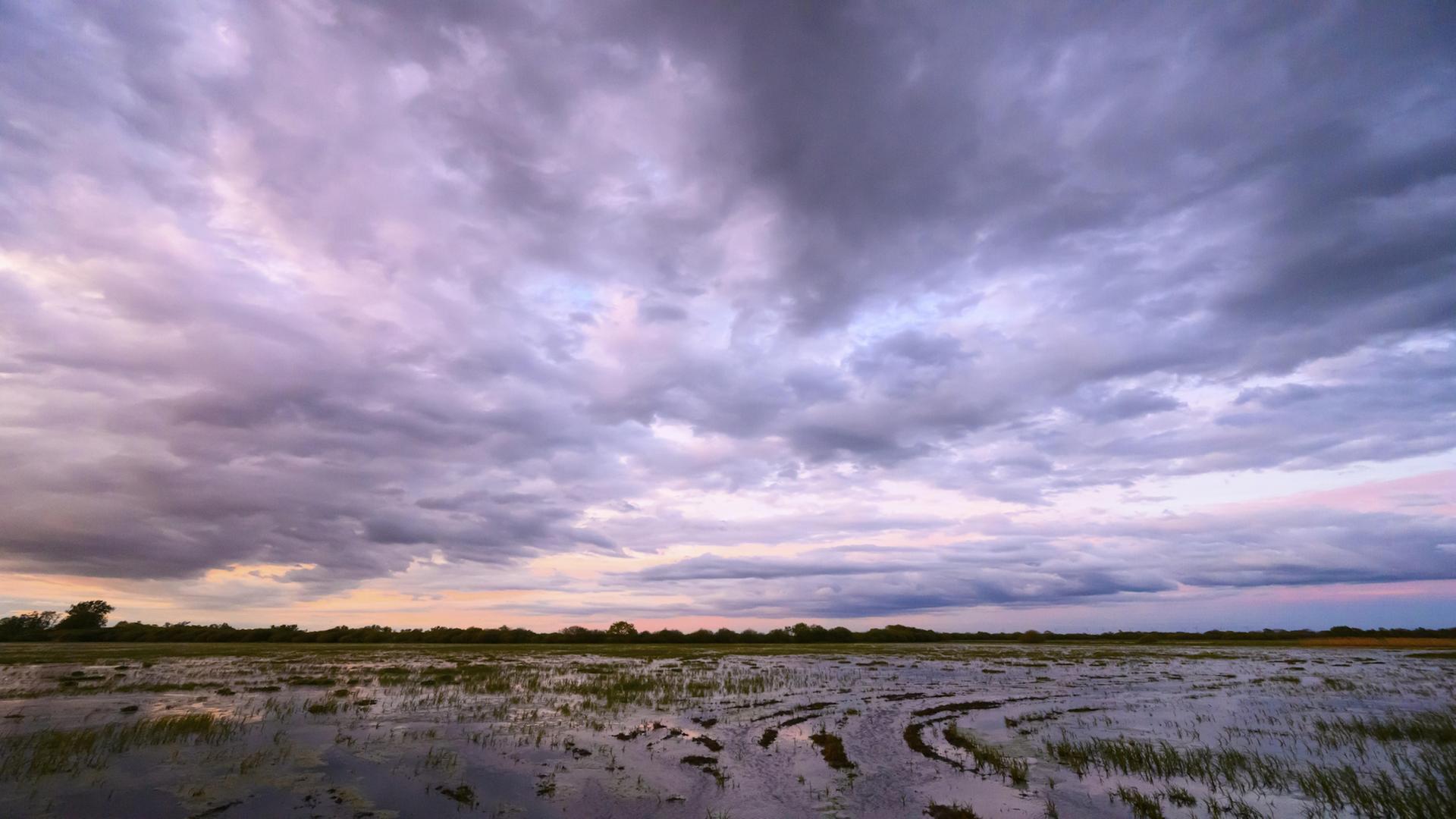 Wolken in Lila- und Blautönen ziehen über ein überschwemmtes Feld in Niedersachsen. | picture alliance / imageBROKER, Christian Kosanetzky