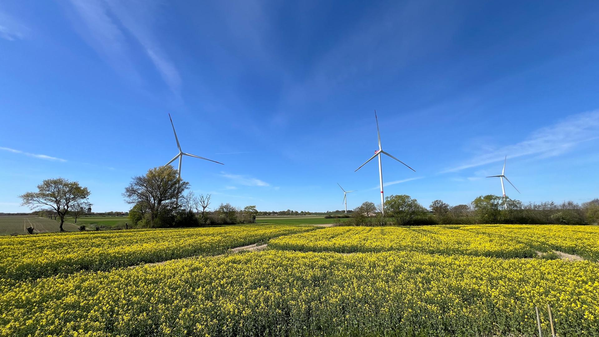 Bürgerwindpark fordert 6,6 Millionen Euro von Siemens-Gamesa