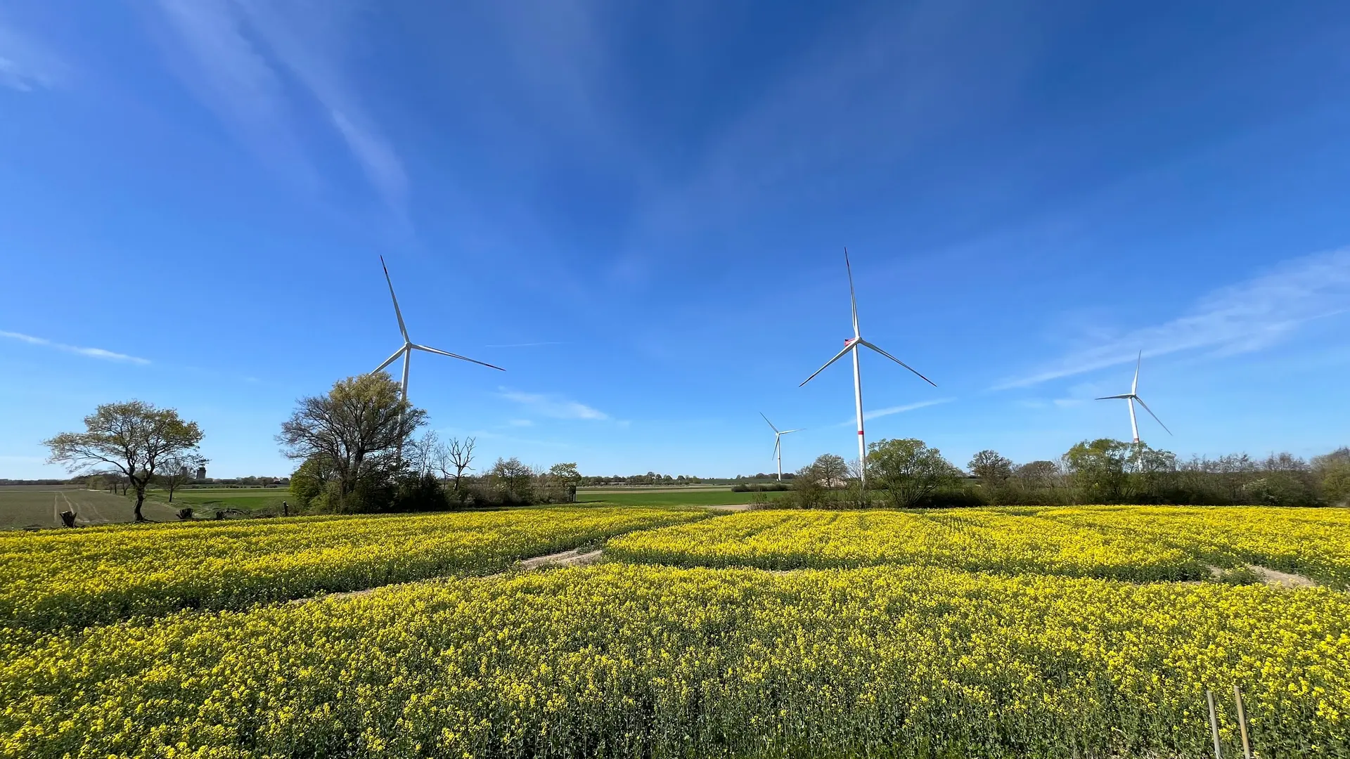 Bürgerwindpark fordert 6,6 Millionen Euro von Siemens-Gamesa