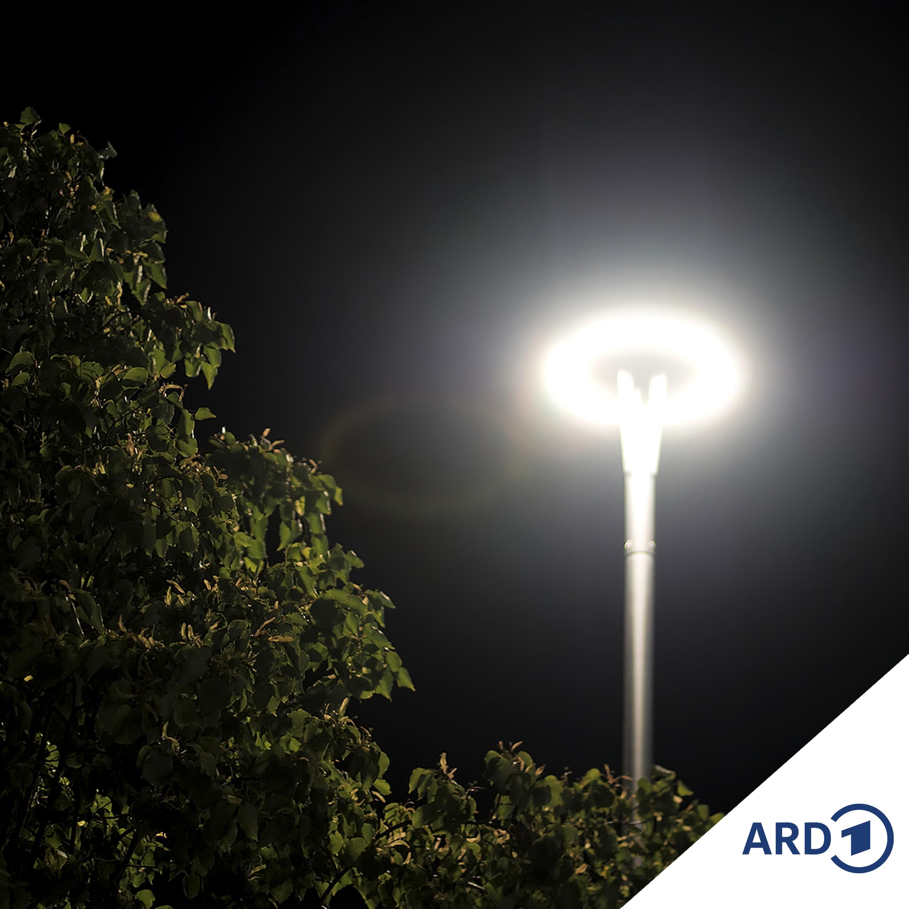Licht anlaaten