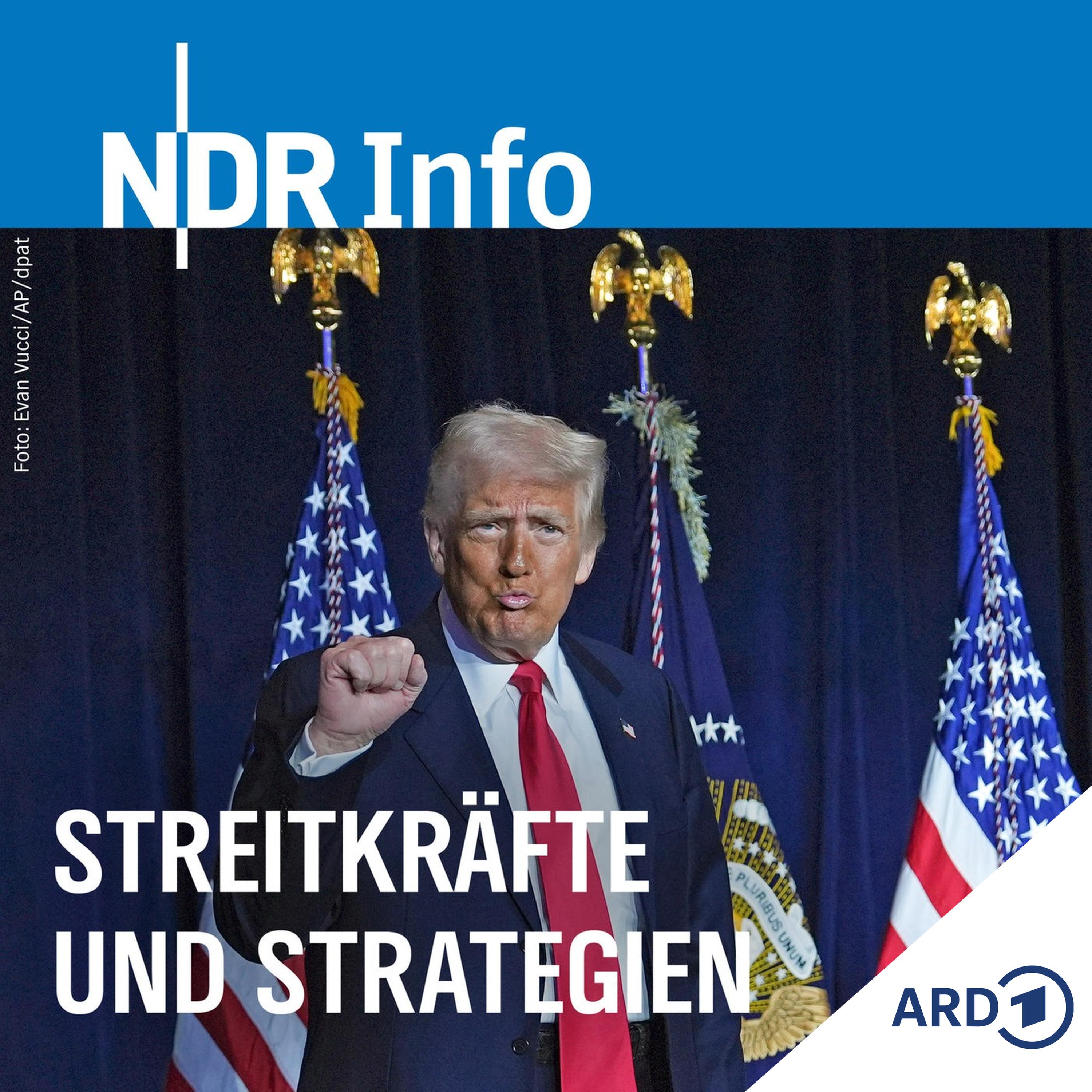 Streitkräfte und Strategien