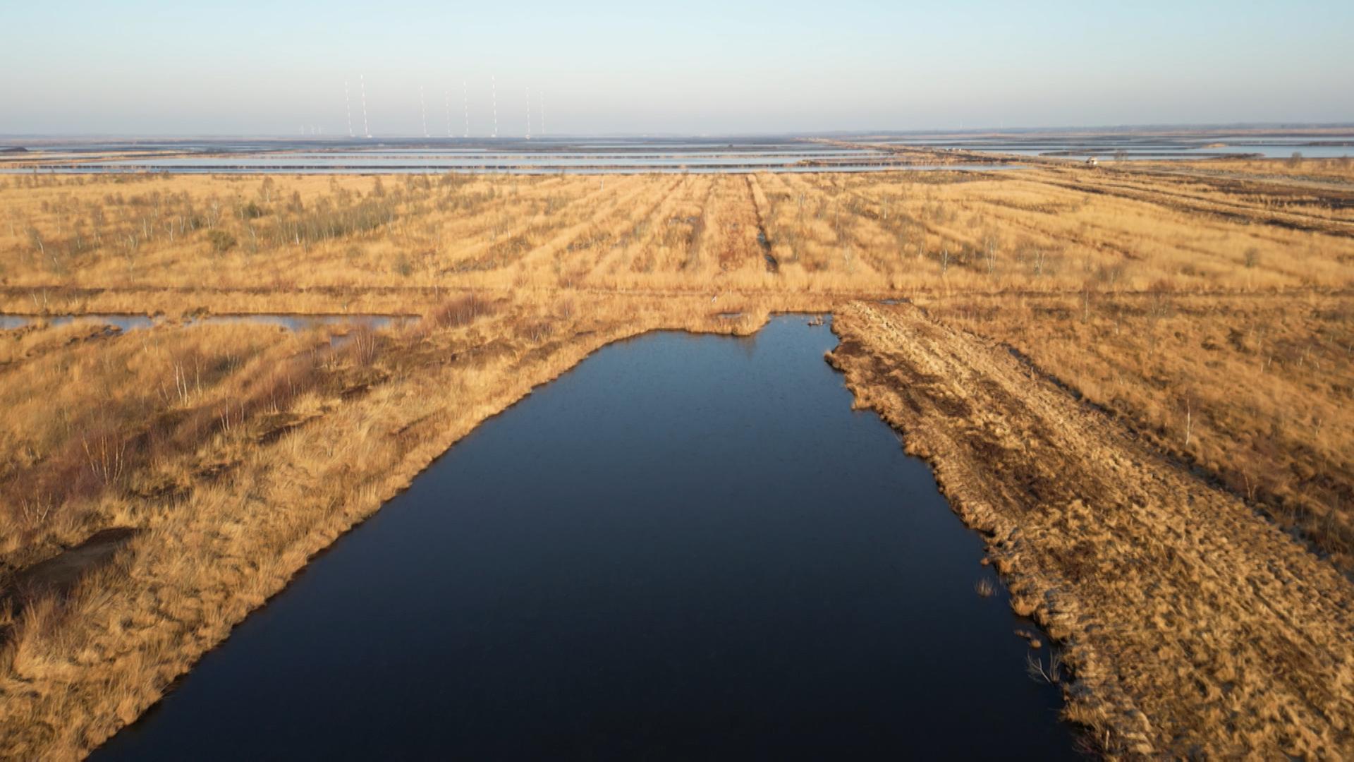 Eine Moorlandschaft in einem Naturschutzgebiet | NDR / Jan Niestegge