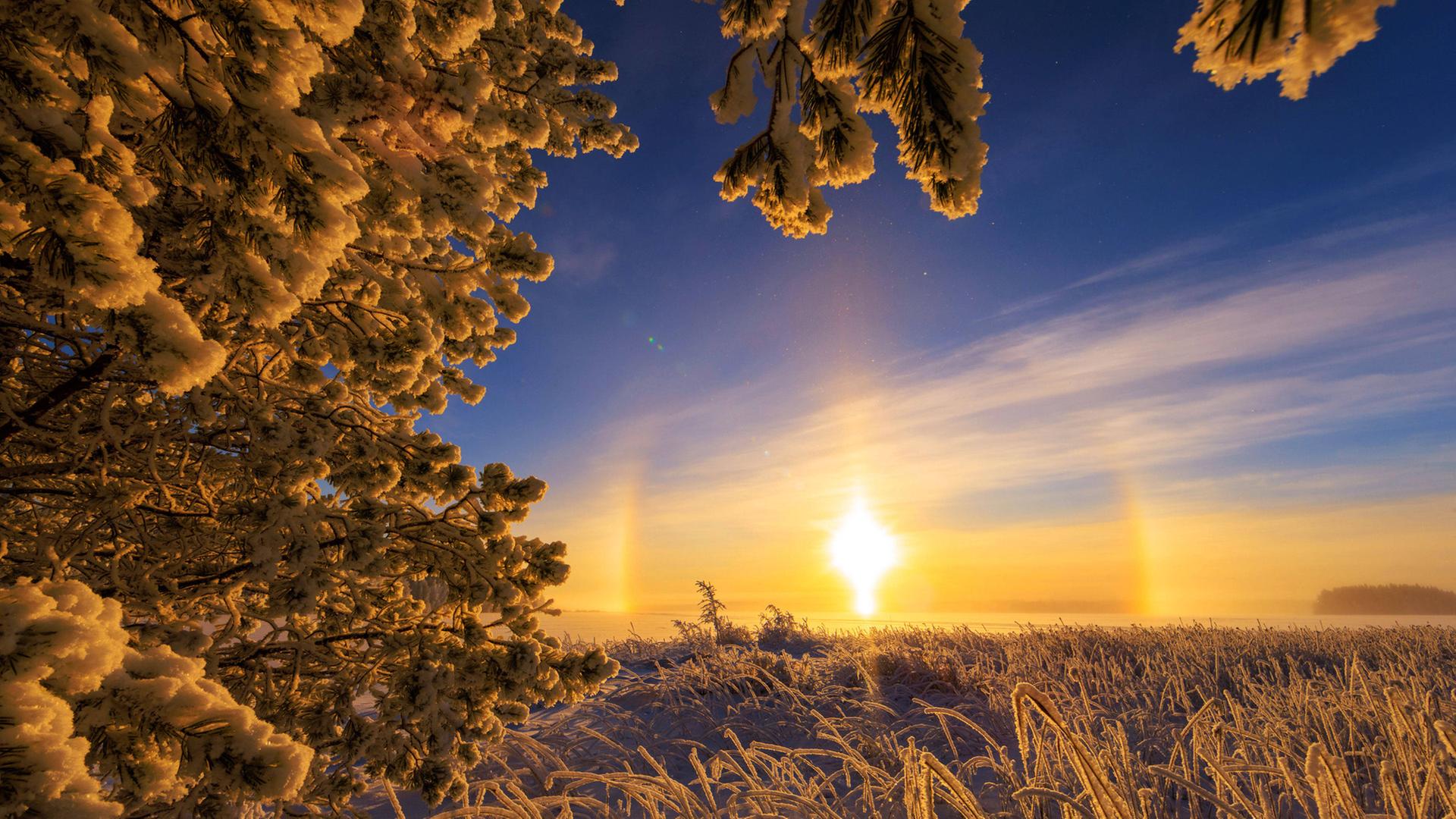 Ein Sonnenuntergang mit Lichtring im Schnee. | picture alliance / SIPA | CATERS