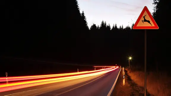 An einer Straße steht ein ein dreieckiges Warnschild mit dem Piktogramm eines springenden Hirschen in der Mitte.