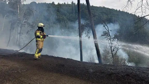 Ein Feuerwehrmann steht in Uniform in einem Wald und löscht einen Brand. Er hält ein Wasserrohr in der Hand, Rauch zieht auf.