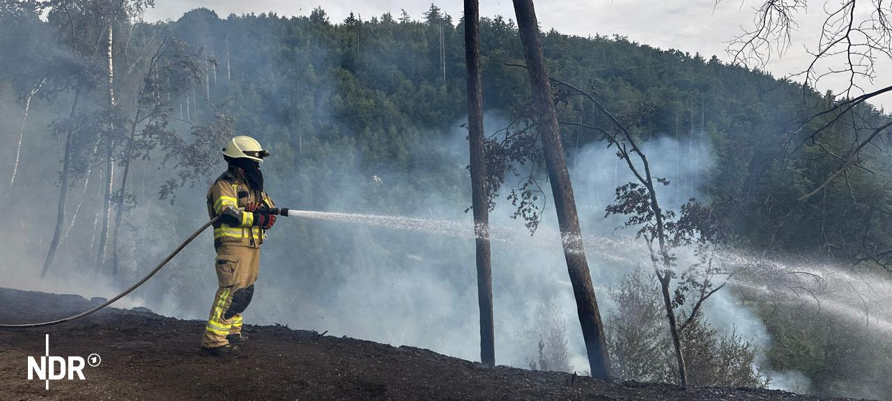 Ein Feuerwehrmann steht in Uniform in einem Wald und löscht einen Brand. Er hält ein Wasserrohr in der Hand, Rauch zieht auf.
