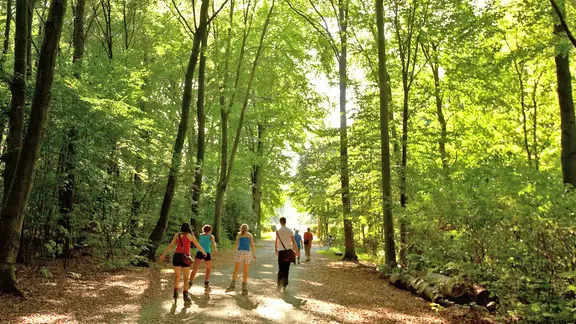 Spaziergänger im Stadtwald Eilenriede in Hannover.