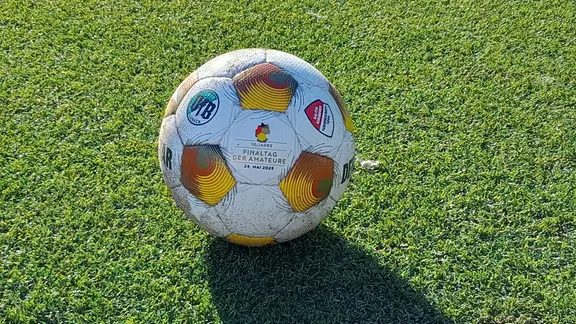 Ein Fußball liegt auf dem Rasen.