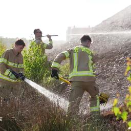 Feuerwehrleute besprühen einen Hügel in einem Moorgebiet mit Wasser.