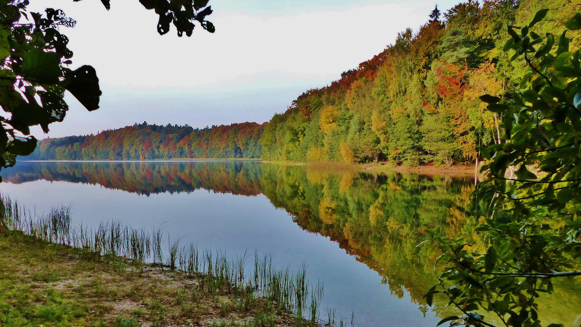 Herzogtum Lauenburg: Warum einige Seen Wasser verlieren