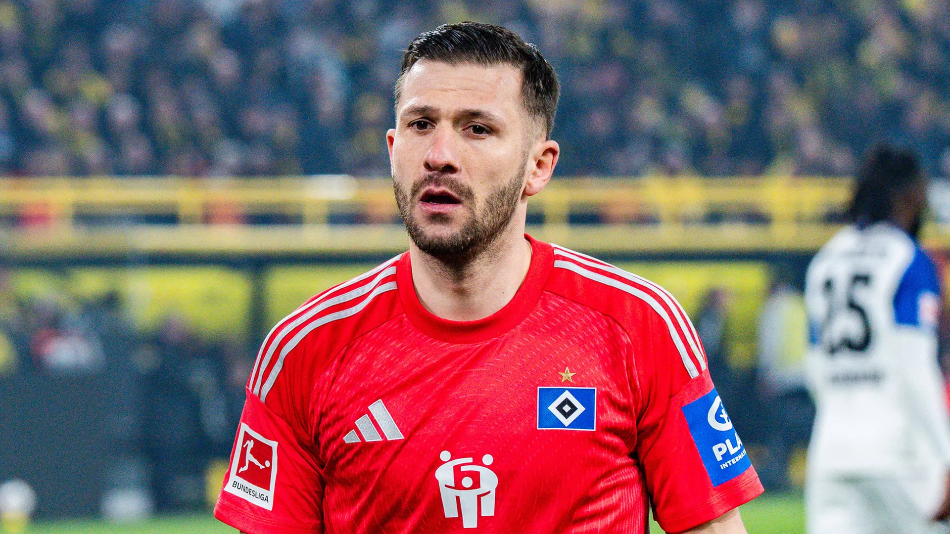 Daniel Heuer Fernandes: 