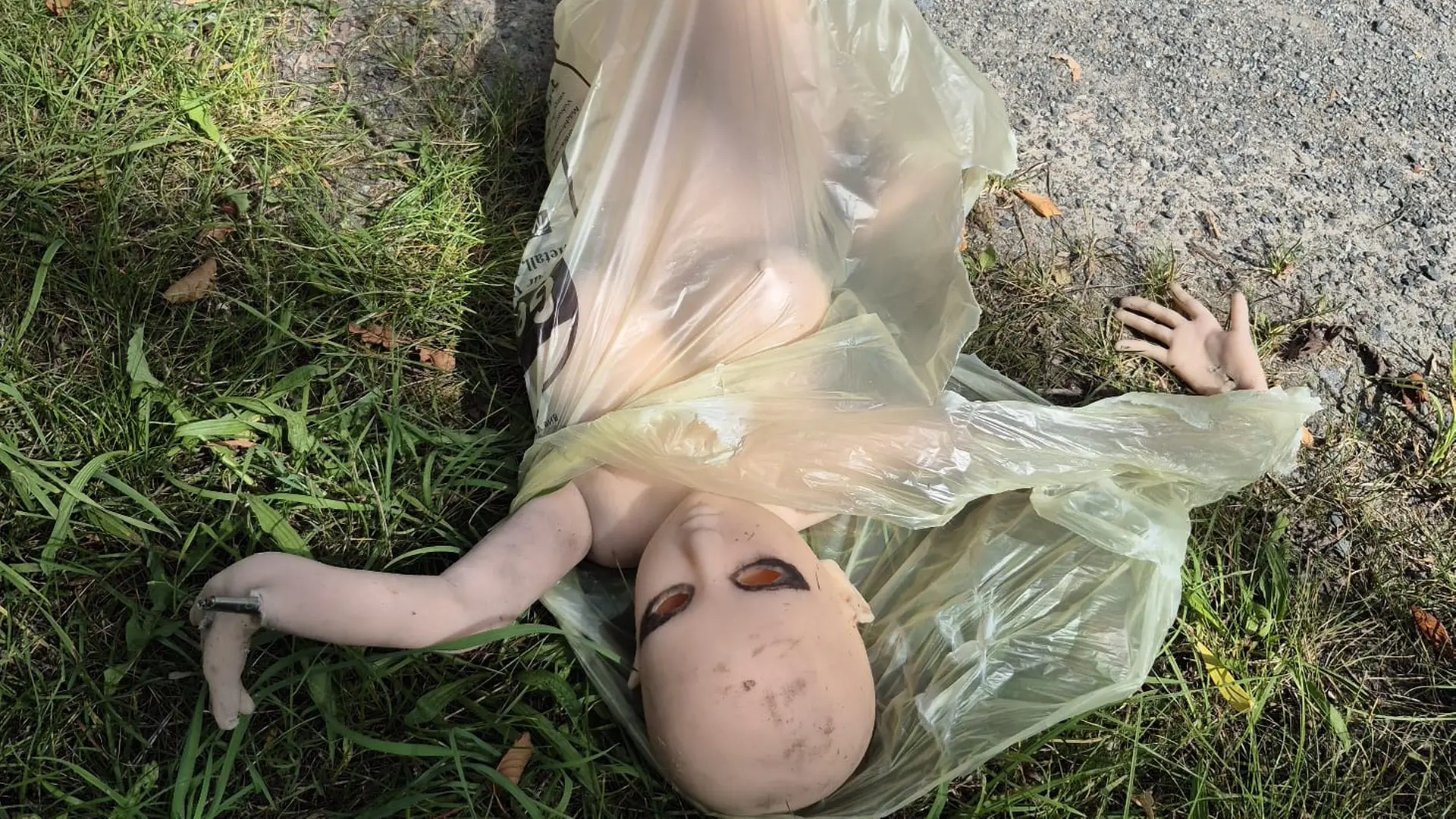 Vermeintliche Leiche im Mittellandkanal erweist sich als Sexpuppe | ndr.de