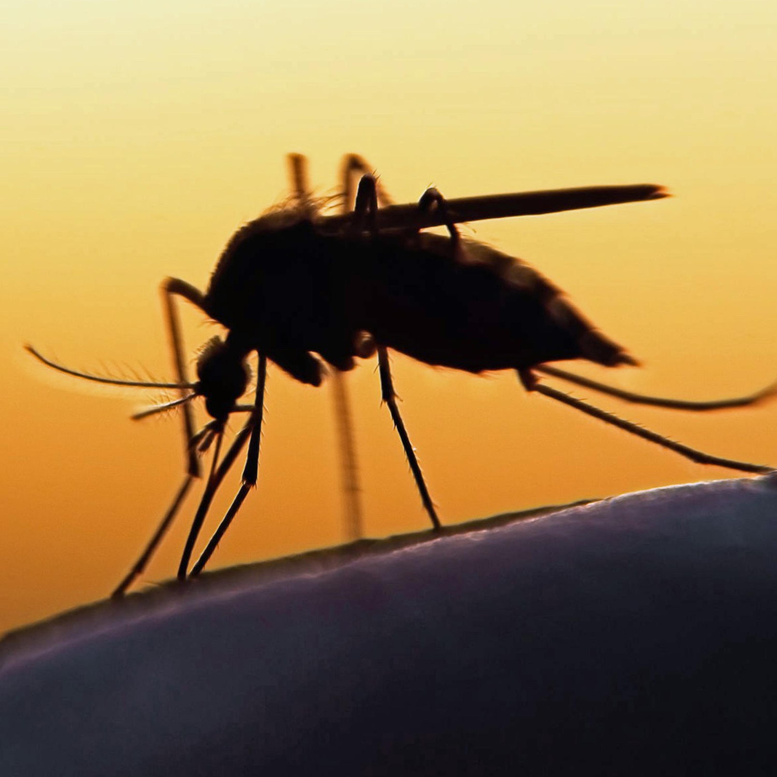 Synapsen – ein Wissenschaftspodcast