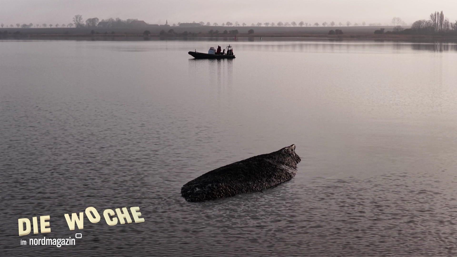 Die Woche im Nordmagazin