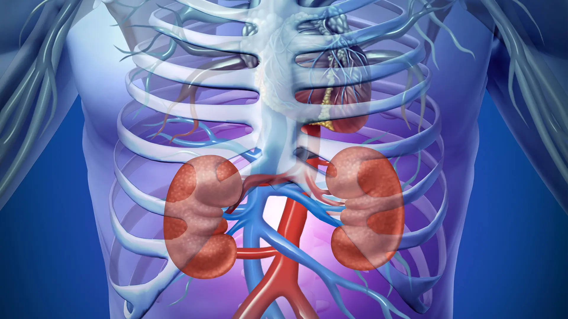 Niereninsuffizienz Stadium 3 Symptome Niereninsuffizienz: Symptome, Ursachen und Behandlung | ndr.de