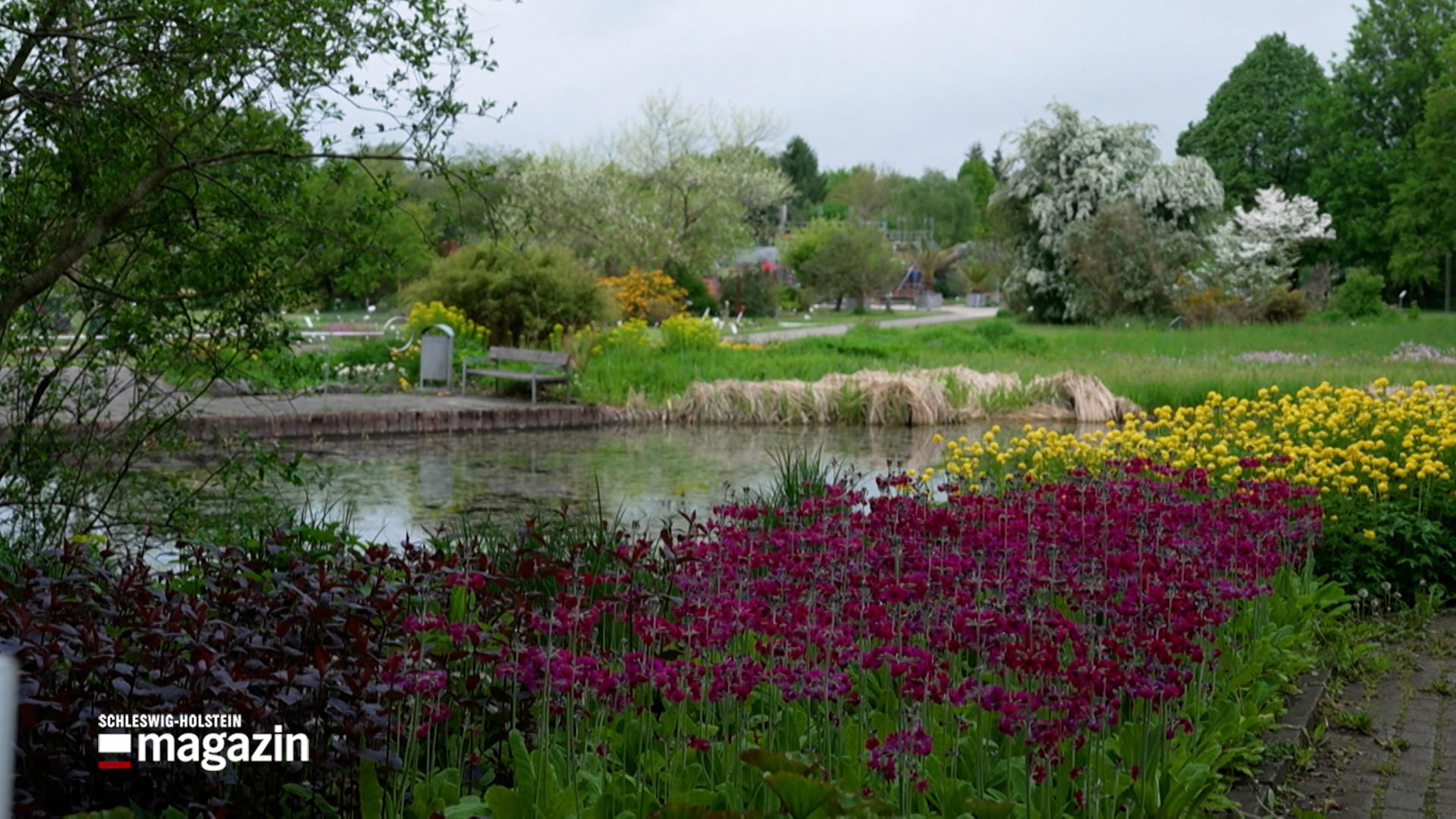 Botanischer Garten in Kiel erhält Gütesiegel