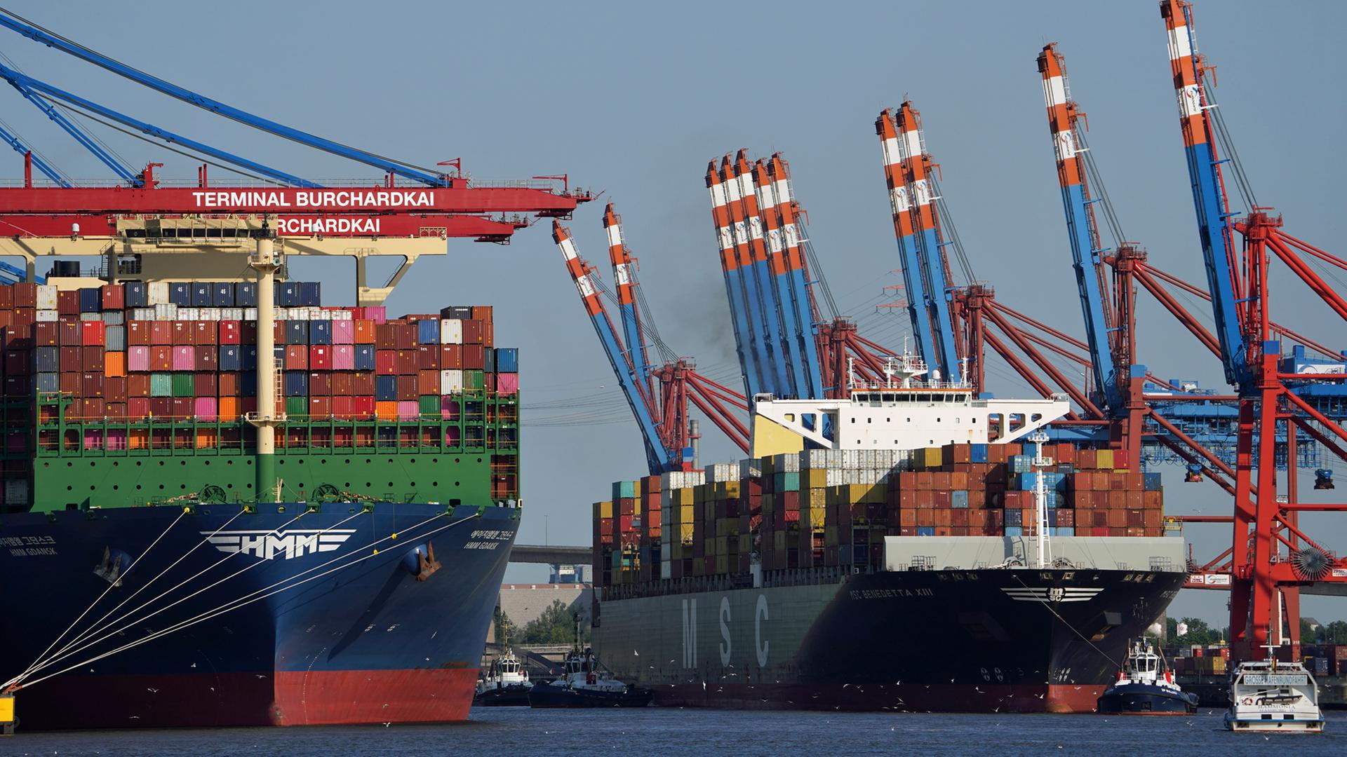 Hamburger Hafen boomt: Großprojekte für mehr Kapazität geplant