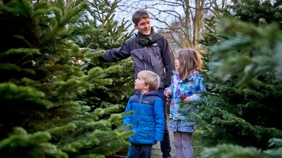 Ein Vater mit zwei Kindern beim Kauf eines Weihnachtsbaums.
