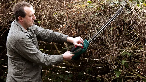 Mann schneidet eine Hecke zurück