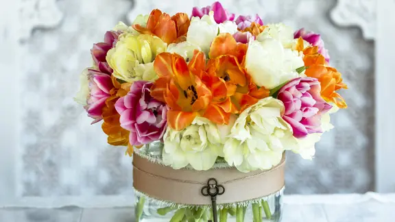 Dekorative mehrfarbige Schnittblumen in einer Glasvase. | imago images / Design Pics Dekorative mehrfarbige Schnittblumen in einer Glasvase.