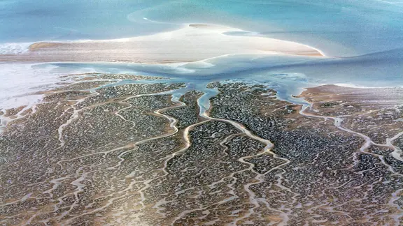 Luftbild vom Schleswig-Holsteinischen Nationalpark Wattenmeer
