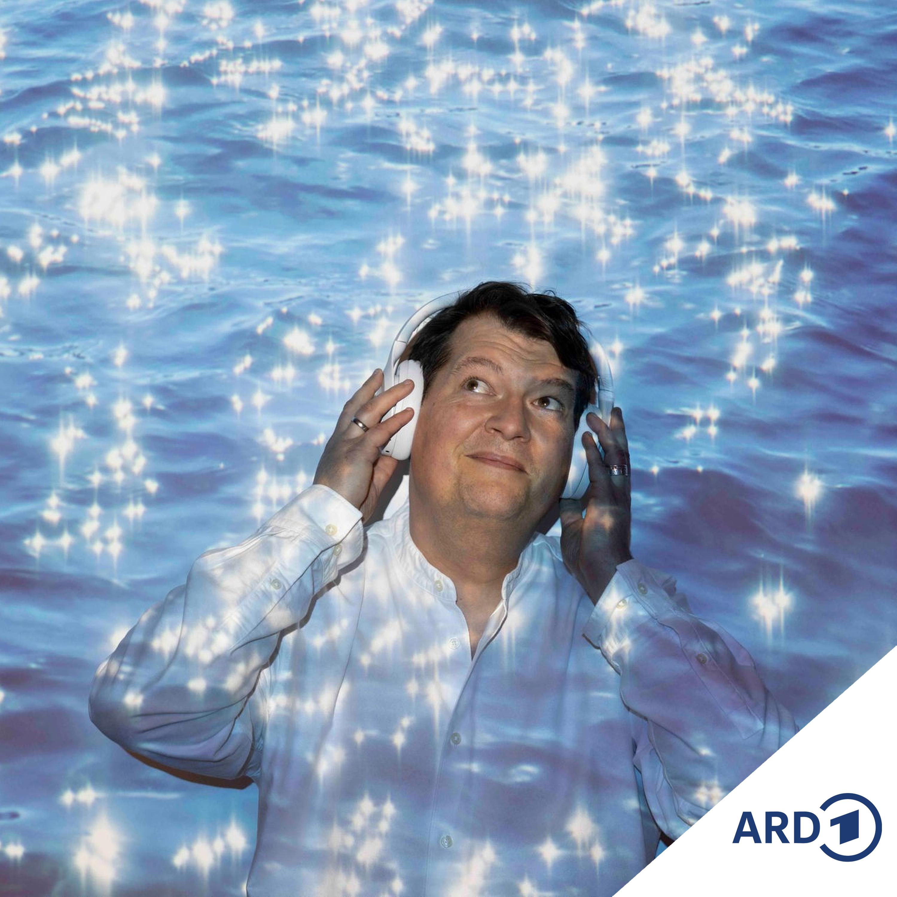In einer Hütte am Fjord episode artwork