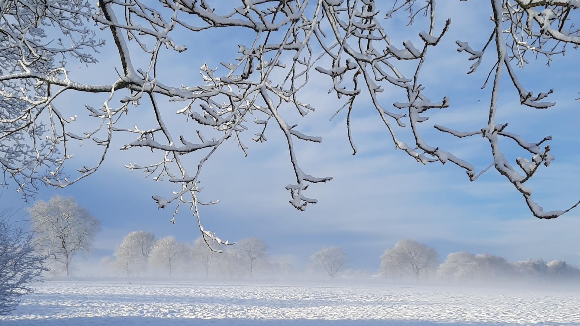 Schneelandschaft in Schweindorf (Landkreis Wittmund). | Antje Rietmann 