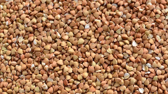 Buchweizen: Körner von Buchweizen füllen das Bild
