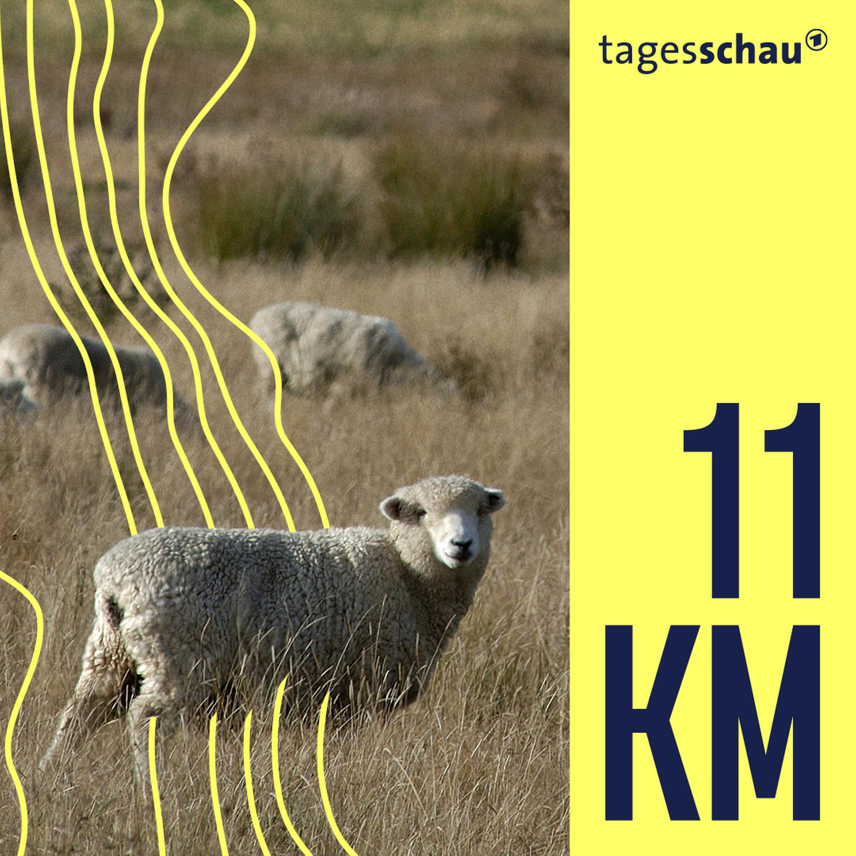 11KM: der tagesschau-Podcast