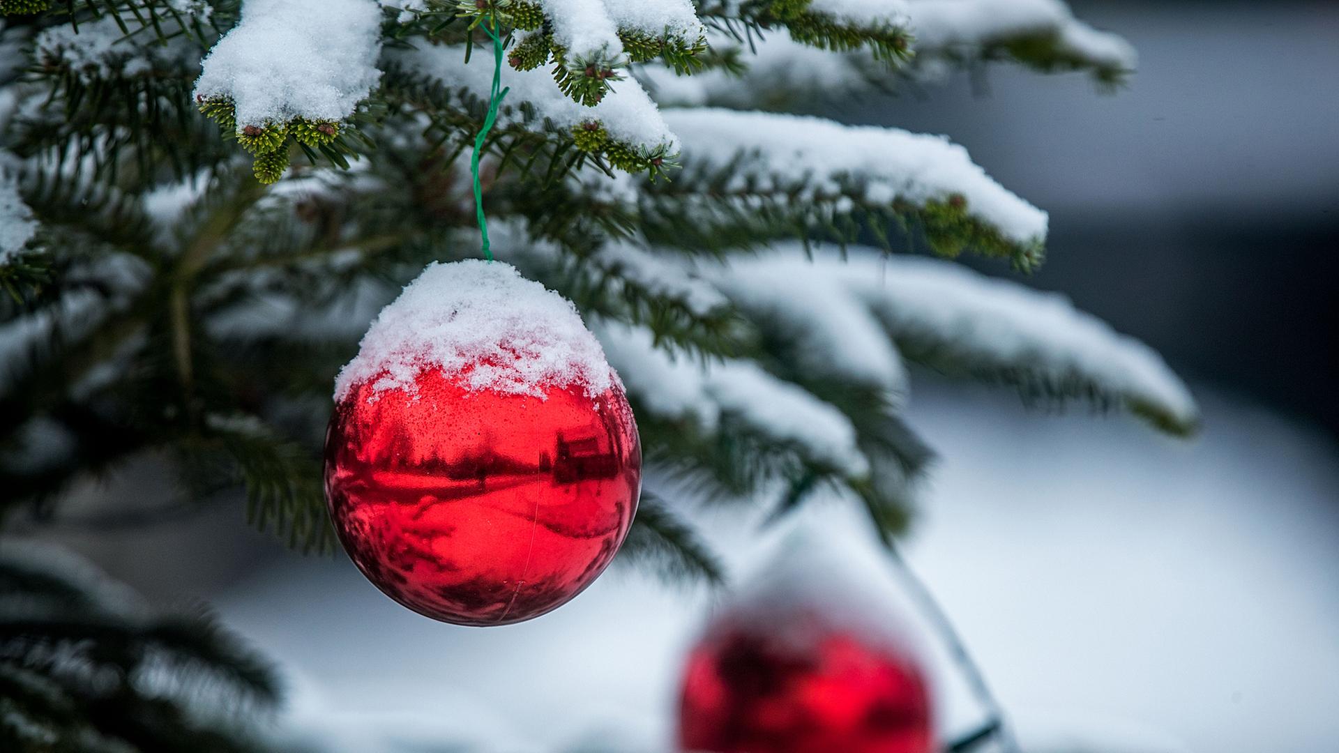 Winter-Daten im Check: Schlechte Chancen für weiße Weihnachten