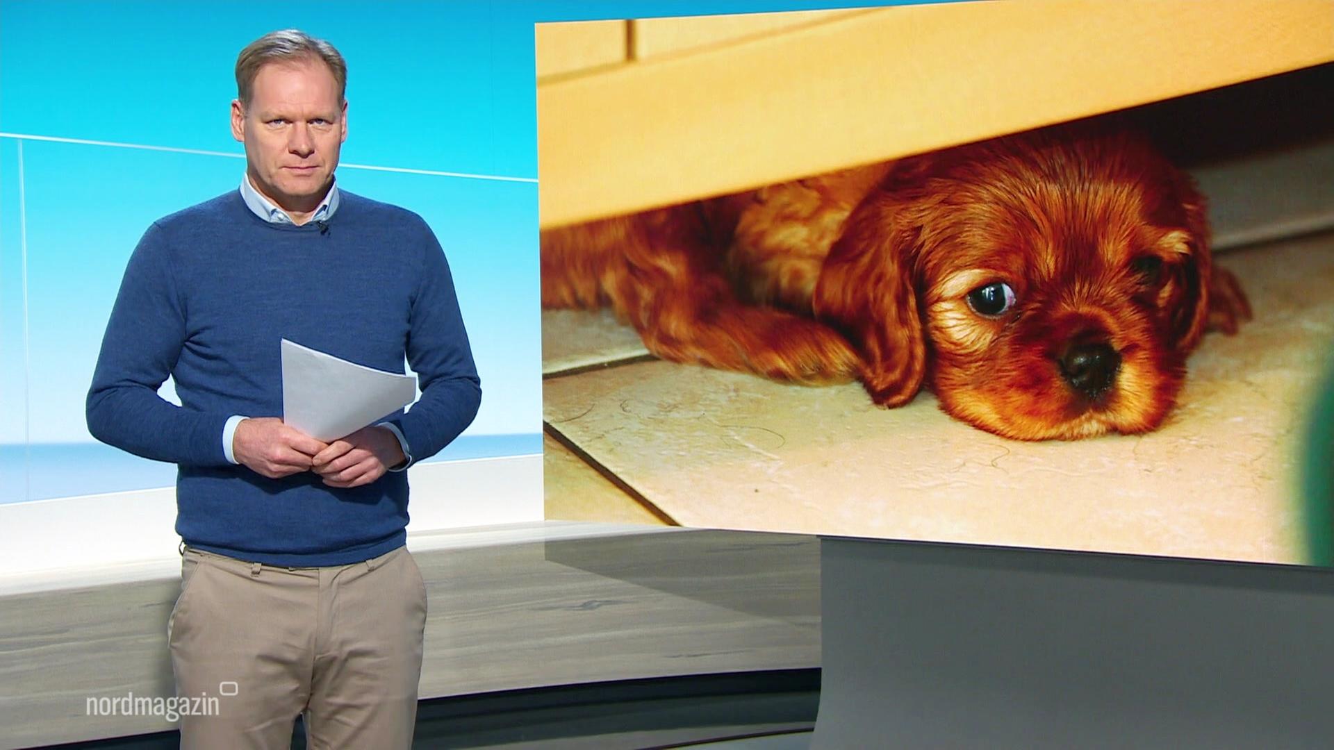 Nordmagazin | 29.12.2025