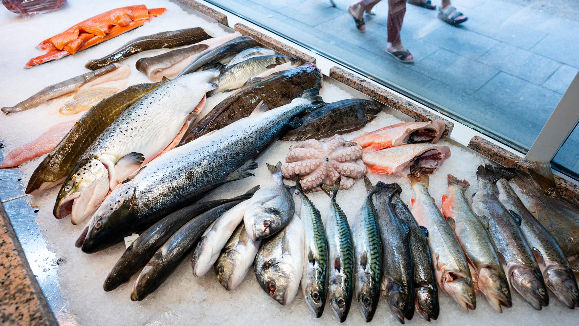 Bilanz für 2024: Etwa sieben Kilo Fisch pro Kopf in Hamburg