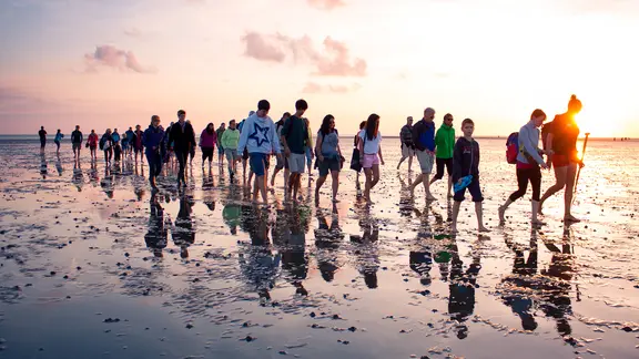 Eine Gruppe auf einer Wattwanderung im schleswig-holsteinischen Wattenmeer.