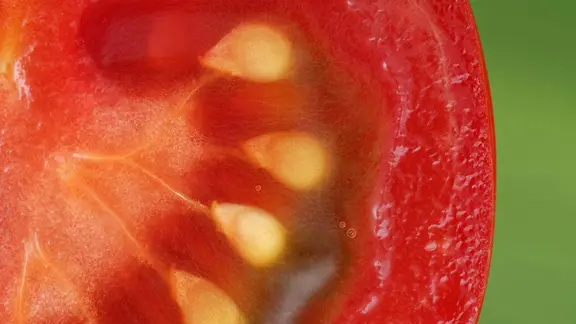 Aufgeschnittene Tomate