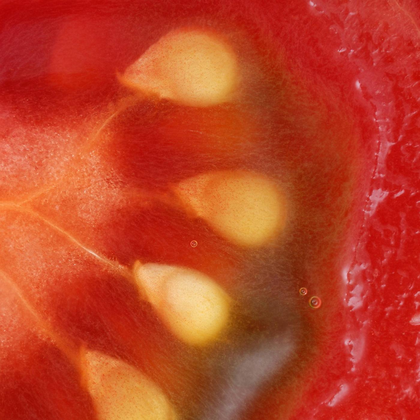 Saatgut aus Tomaten gewinnen