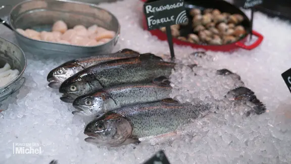 Vier ganze Regenbogenforellen liegen neben anderen Meeresfrüchten auf zerstoßenem Eis in einer Fischtheke.