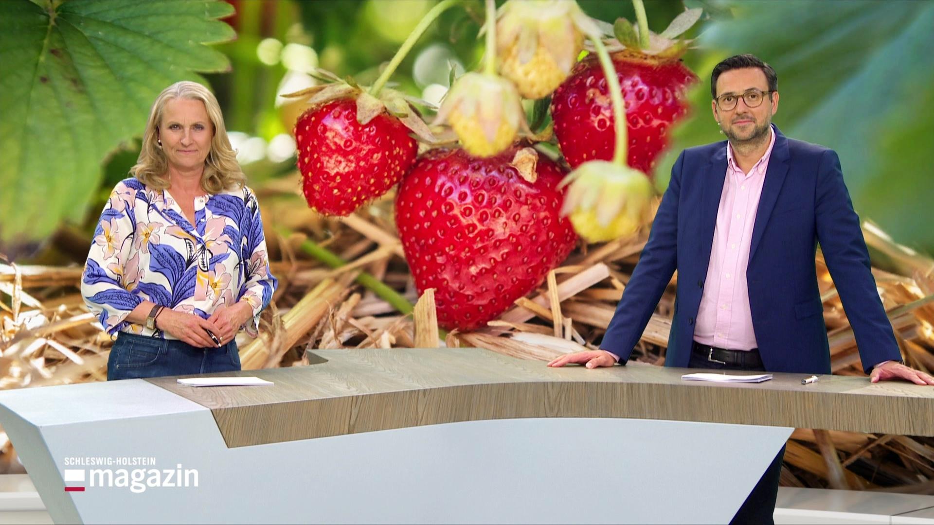 Schleswig-Holstein Magazin | 30.05.2026