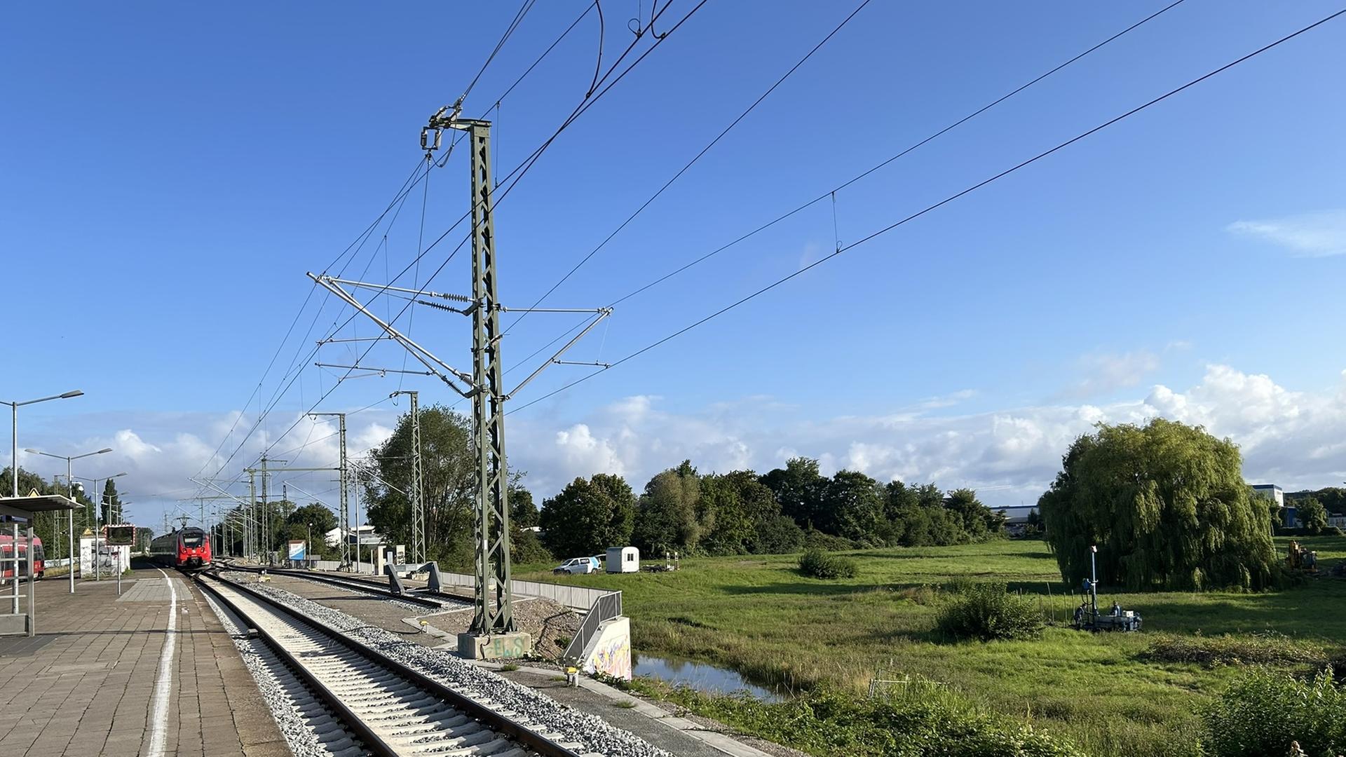 Rostock: Bauvorbereitende Arbeiten am Weftdreieck