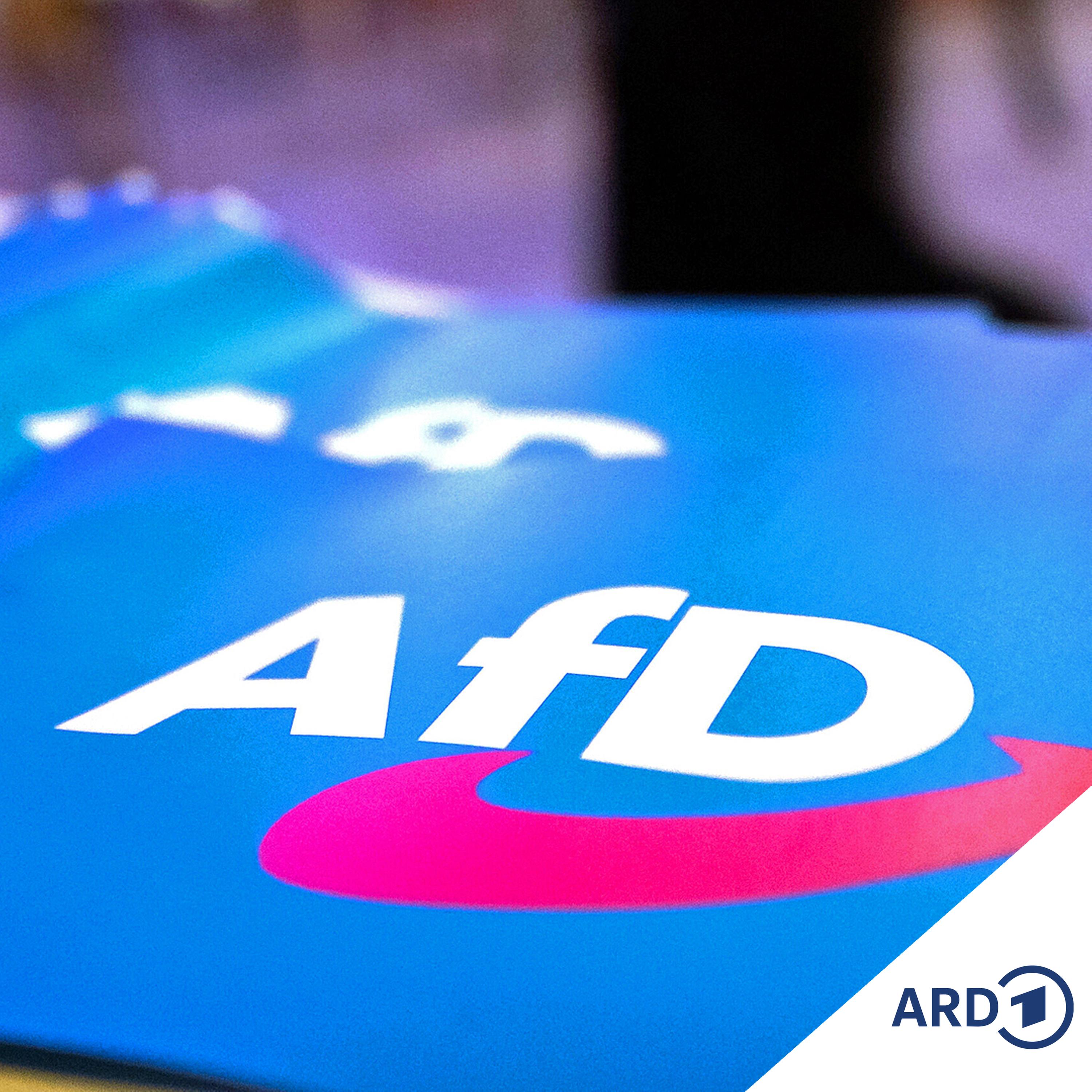 Verfassungsschutz: Ganze AfD als gesichert rechtsextremistisch eingestuft