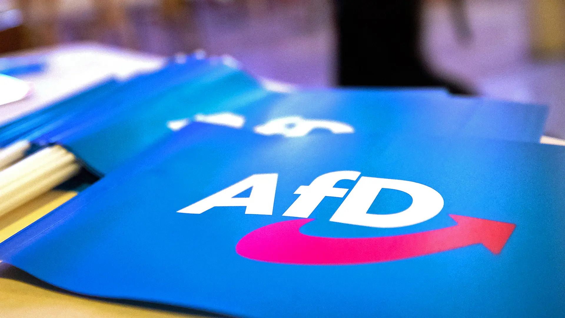 AfD-Kreisparteitag in Dithmarschen abgesagt | ndr.de