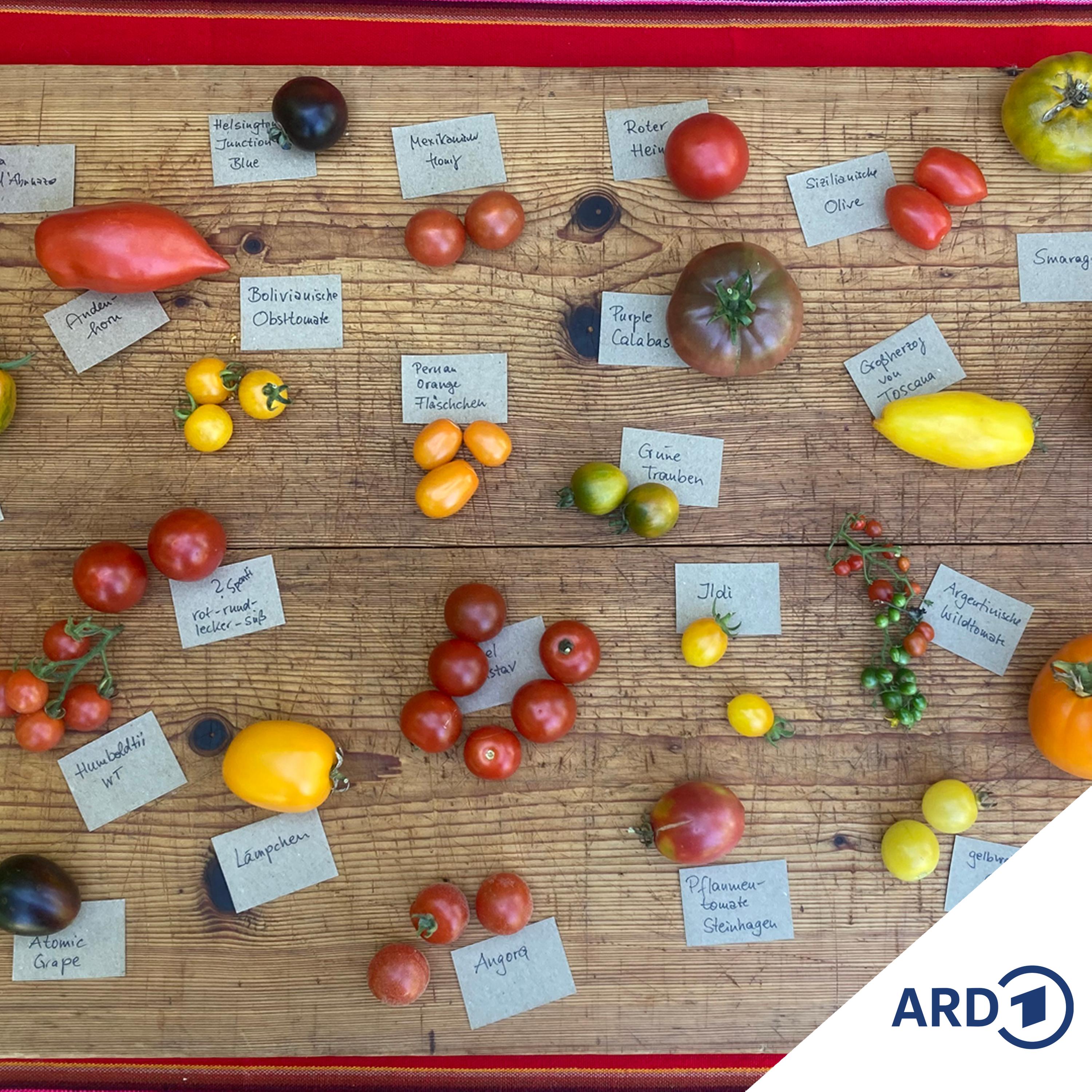 Im Grünen Bereich – Der NDR Gartenpodcast