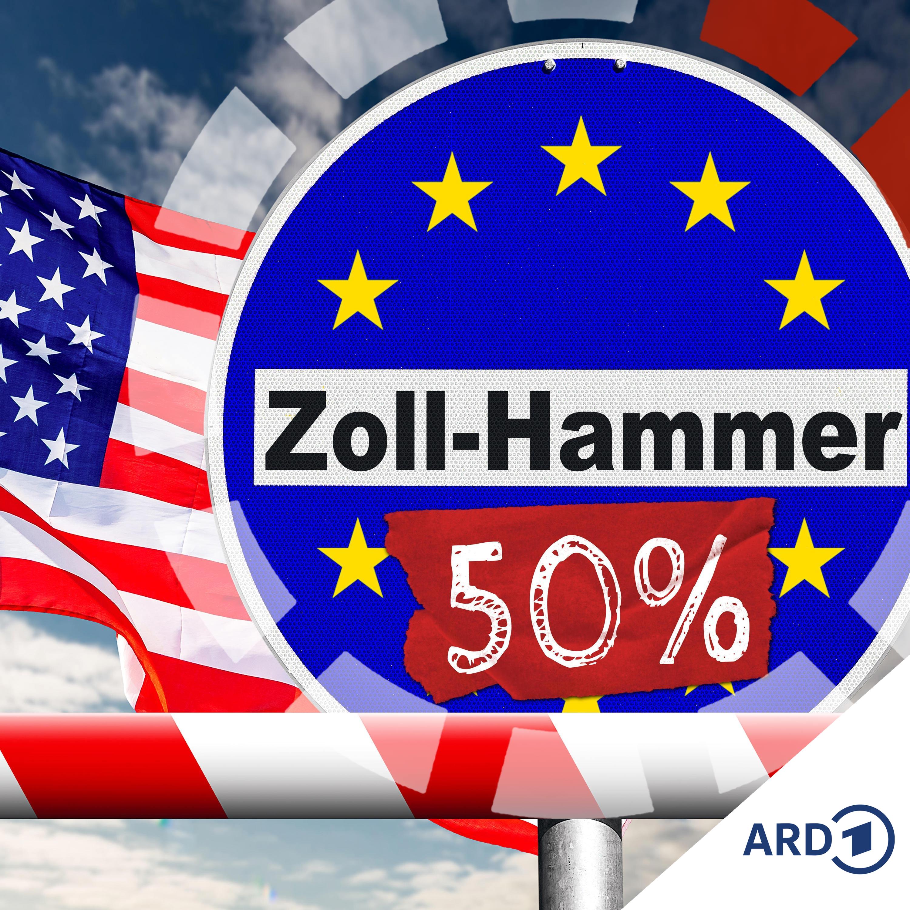 50% Zoll? Aber hatten die EU und die USA nicht einen Deal?! Ja, aber... episode artwork