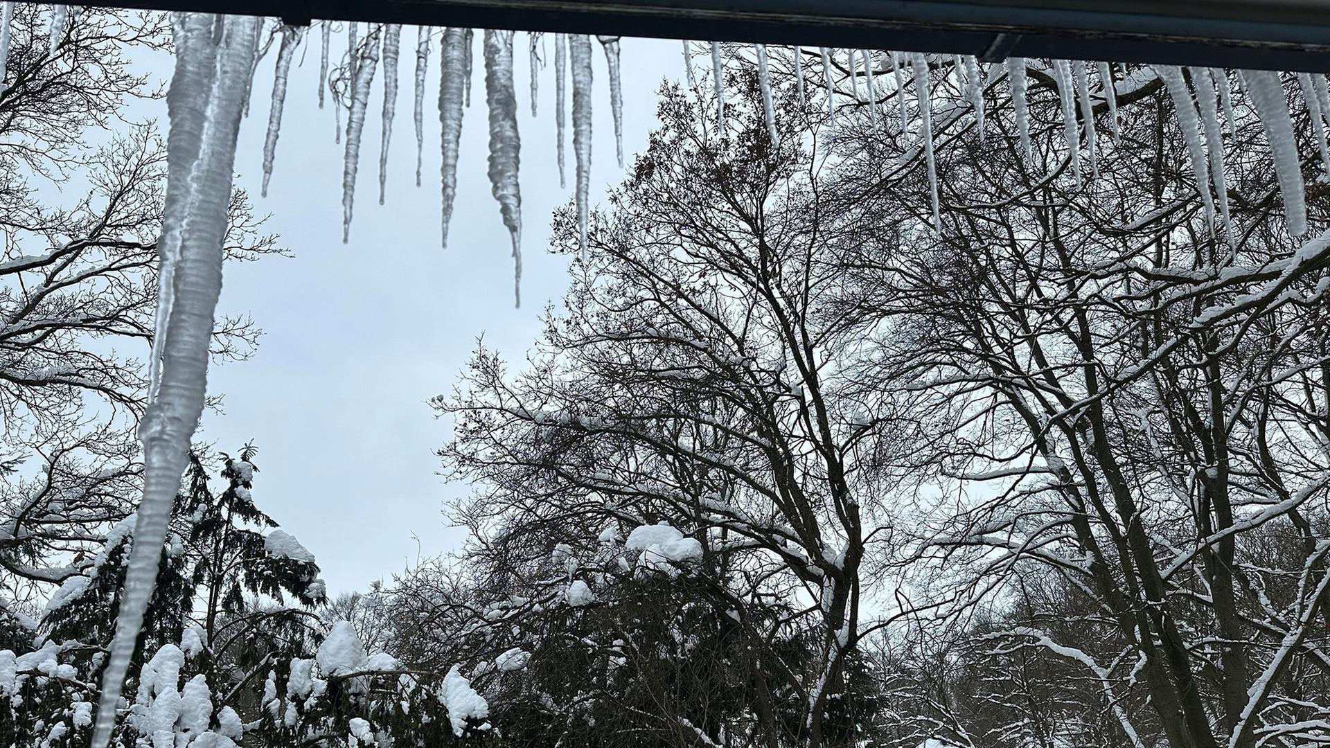 Liveticker nach „Elli“ in Hamburg: Eisige Kälte und Warnung vor Glätte