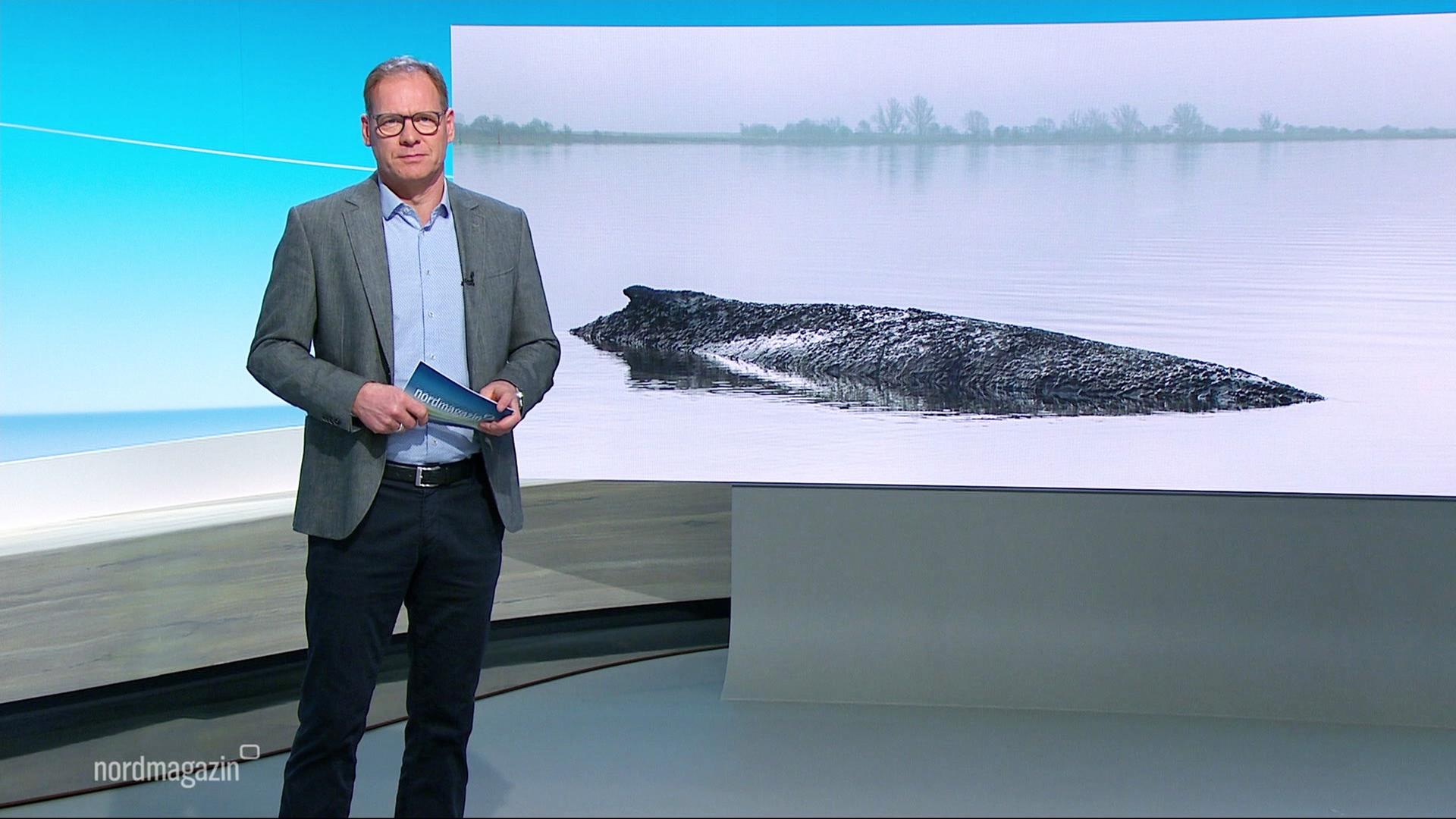 Nordmagazin | 01.04.2026